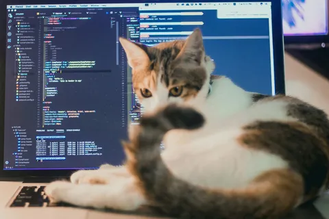 Image about dispatch without the group chat: scheduling software for field teams in 2026